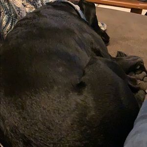 Meet your Posher, Annette